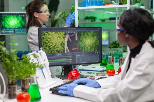 Biologist researcher typing gmo expertise on computer