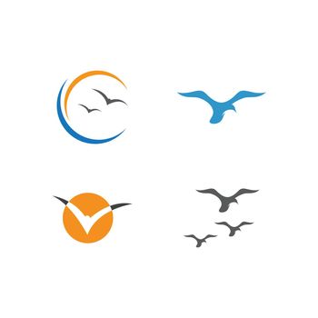 seagull  symbol and icon