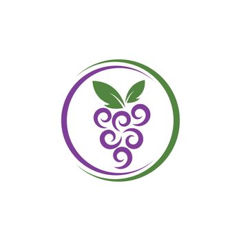 Grape with leaf logo vector 