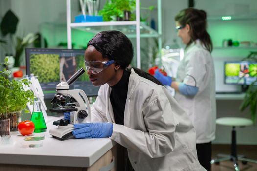 Biologist researcher examining organic leaf slide for medical expertise