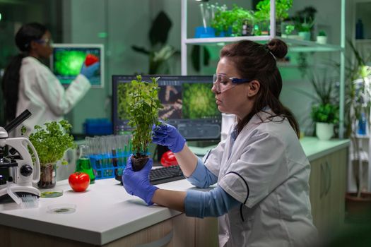 Biologist scientific doctor examining green sapling