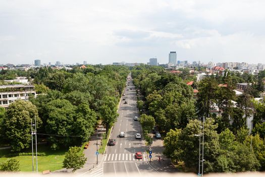 Panoramic view of busy boulevard of metropolitan city during summer days