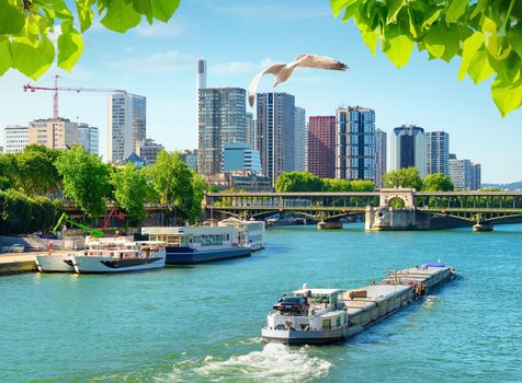 Seine river in Paris at day