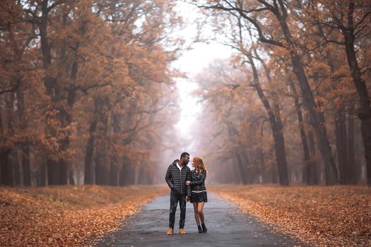 Interracial couple posing in autumn park road