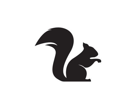 squirrel logo vector