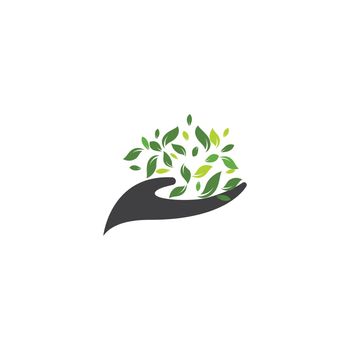 Eco care logo 