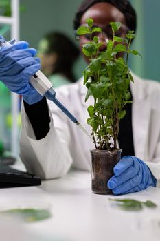 African american chemist researcher dropping liquid in sapling using micropippete