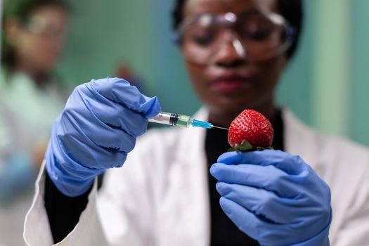 Closeup african american scientist injecting strawberry with chemical pesticides