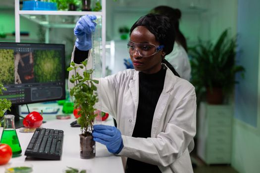 African american biochemist scientist measuring sapling using ruler