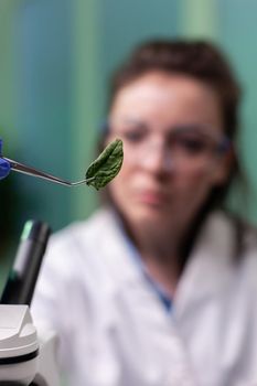 Biologist researcher woman holding leaf sample analyzing genetically modified organic plants