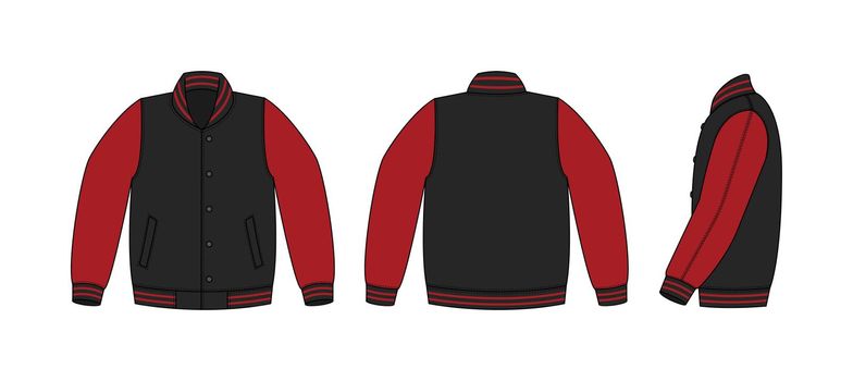 Varsity jacket ( baseball jacket ) template illustration(front,back and side )