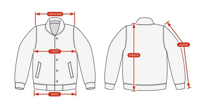 Clothing size chart vector illustration ( Varsity jacket )
