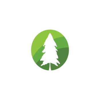 Pine tree logo ilustration