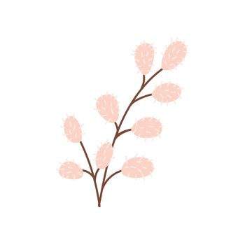 Willow twig on a white background. Vector image in flat style