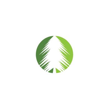 Pine tree logo 