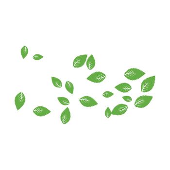 Mint leaf Background 