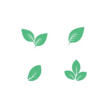 Mint leaf logo 