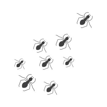 Ant Background