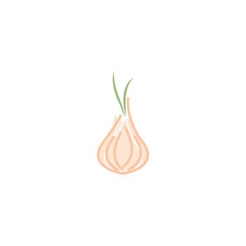Garlic illustration logo icon vector 
