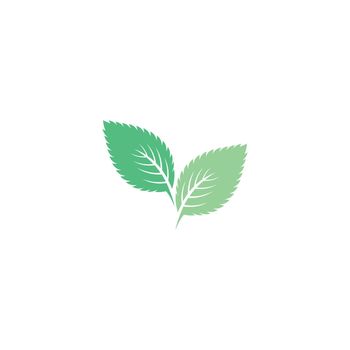 Mint leaf logo 