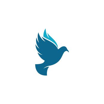 Dove bird logo 