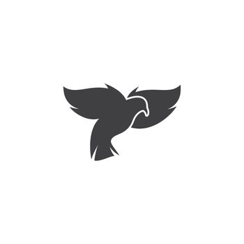 Dove bird logo 
