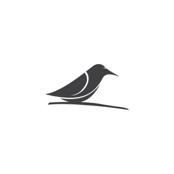Bird Logo 