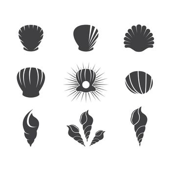 Seashell vector design