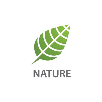 Leaf Natural product