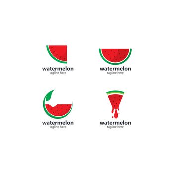 Watermelon logo vector icon concept