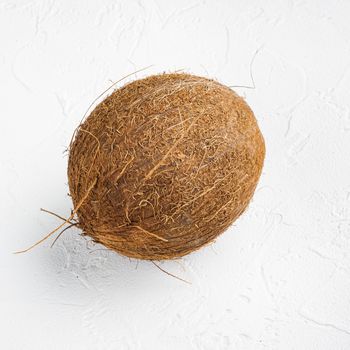 Freshly harvested coconut, on white stone table background