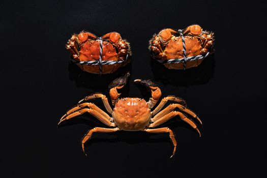 boiled Shanghai hairy crab or Chinese mitten crab (Eriocheir sinensis) with Chili and herb on black background