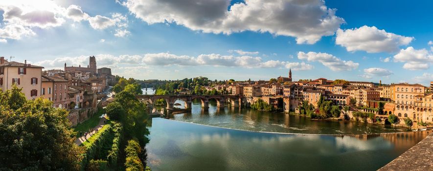 The Tarn and its banks, from the Pont Neuf in Albi, in the Tarn, in Occitanie, France