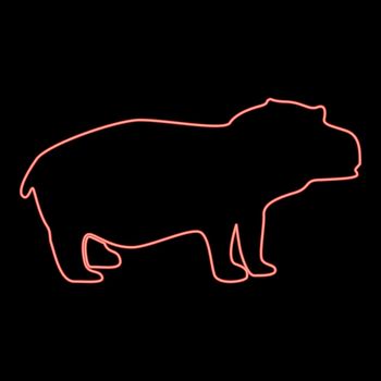 Neon hippopotamus red color vector illustration flat style image