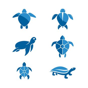 Turtle animal cartoon icon