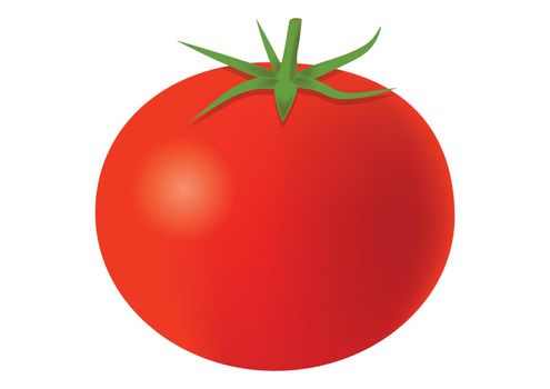 Clipart Vector Tomato