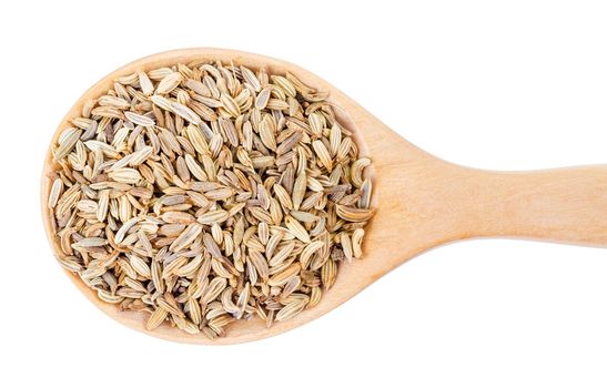 Dried fennel seeds in wooden spoon isolated on white background.
