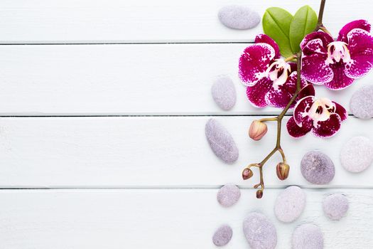 Pink orchid on a wooden background. Spa and wellnes scene.