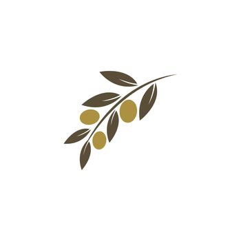 Olive illustration vector