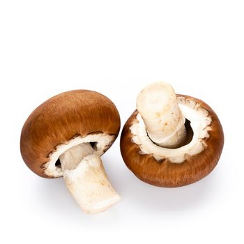 Fresh champignon mushrooms isolated on white. 