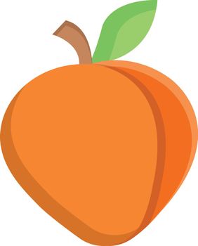 apricot 
