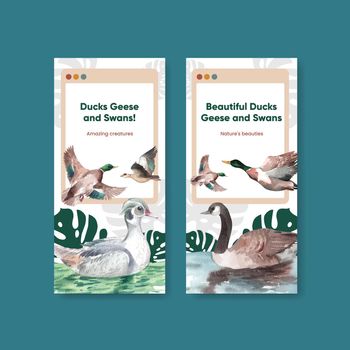 Flyer template with duck and swan concept,watercolor style