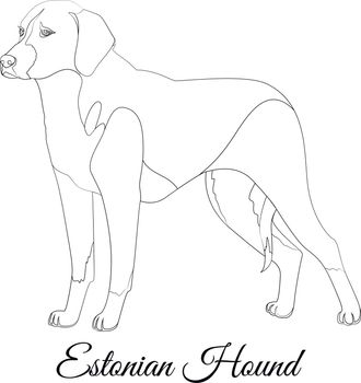 Estonian hound cartoon dog outline