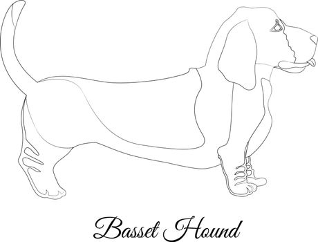 Basset hound dog breed outline vector illustration