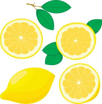 Set of hand drawing lemons