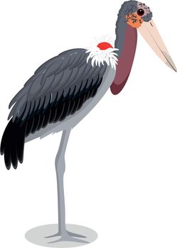 Marabou stork cartoon bird