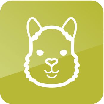 Lama icon. Animal head vector symbol