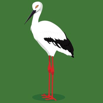 Oriental stork cartoon bird