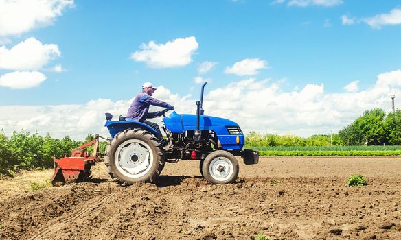Farmer drives a tractor with a milling machine. Loosens, grind and mix soil on plantation field. Loosening surface, cultivating the land. Farming, agriculture. Field preparation for new crop planting.