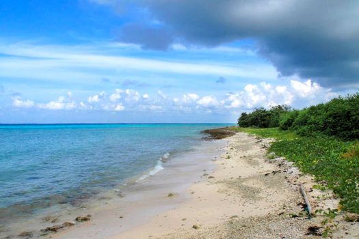 Beach Landscape, Caribbean Sea, Playa Giron, Cuba